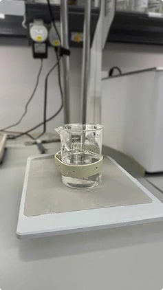Кто мы